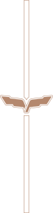 Vertical Logo Line